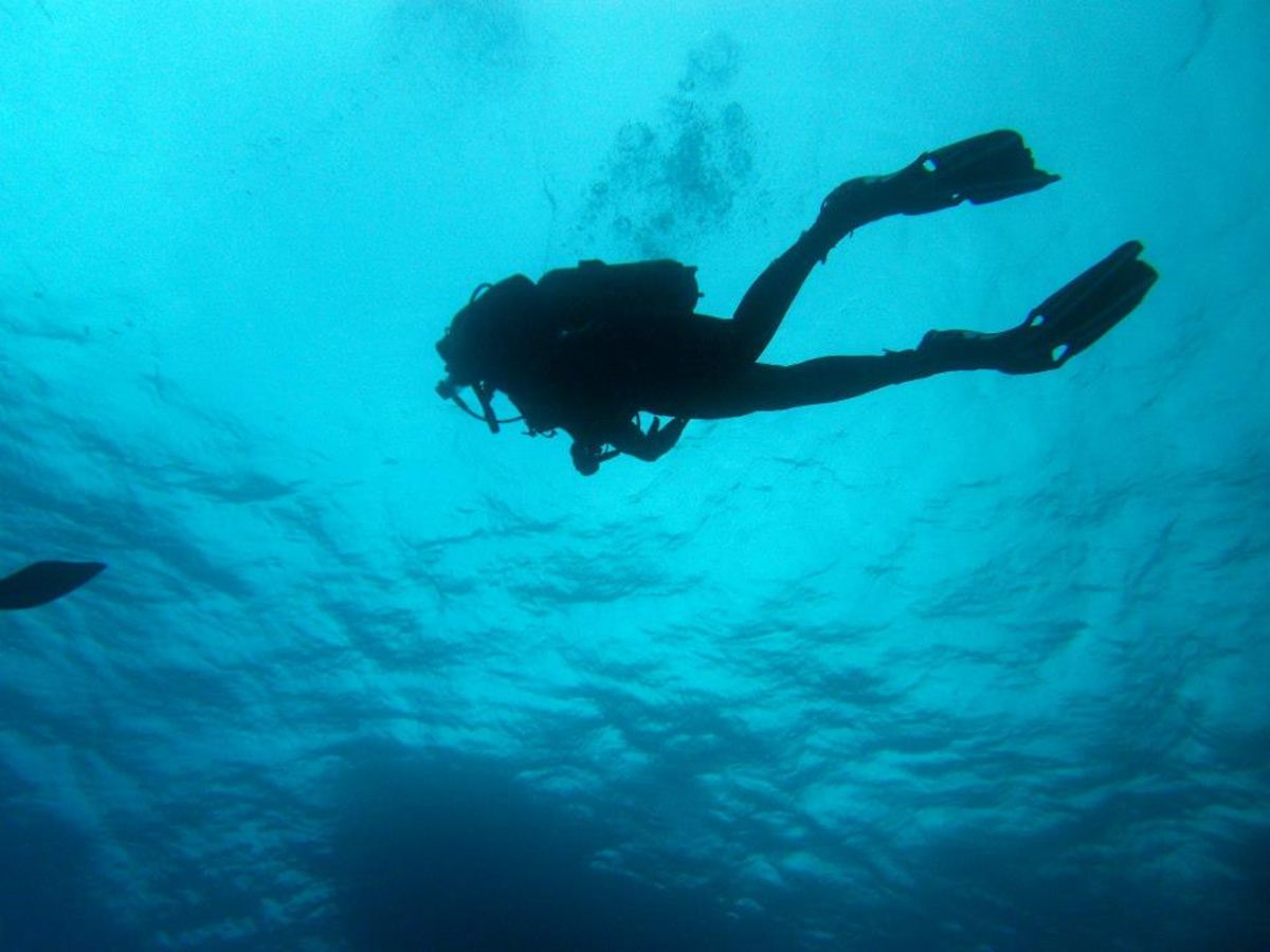 Centro Subacqueo Mediterraneo “Duilio Marcante”